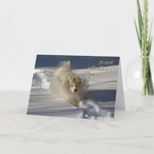Carte Snowplow Birthday Card