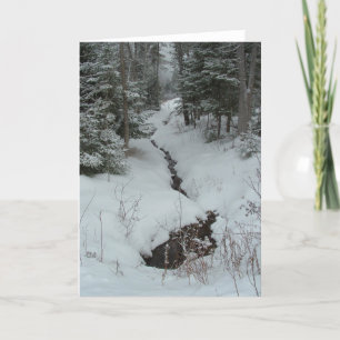 Carte Snowy Creek