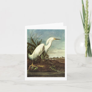 Carte Snowy Egret, John James Audubon