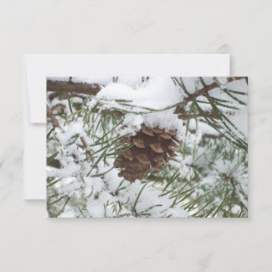 Carte Snowy Pine Cone I