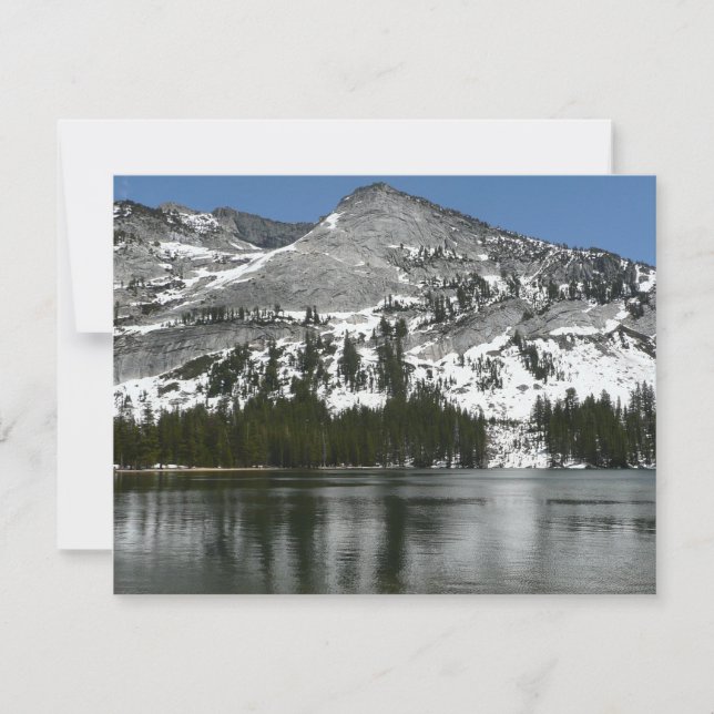Carte Snowy Tenaya Lake Yosemite National Park Photo (Devant)