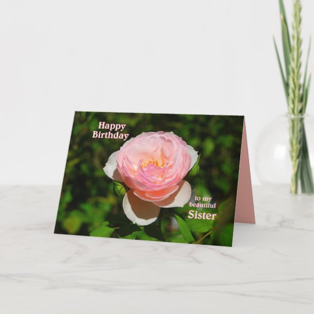 Carte Soeur Rose rose anglaise Joyeux anniversaire (Devant)