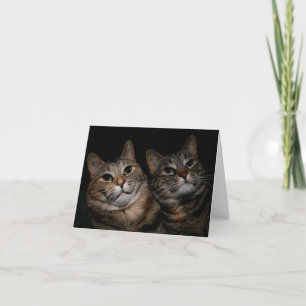 Carte Soeurs sages