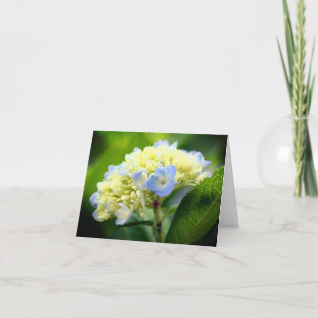 Carte Soft Blue Hydrangea Flower Photography Note (Devant)