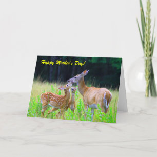 Carte Soins infirmiers pour les pères cerfs, Bonne fête 