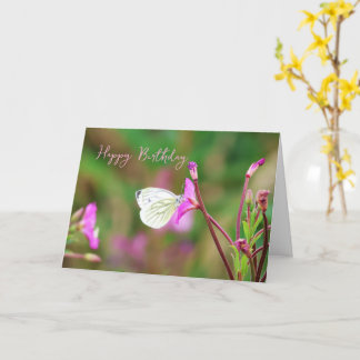 Carte Soirée d'été