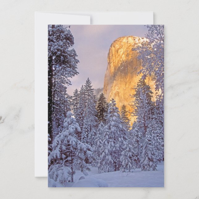 Carte Soleil d'hiver sur El Capitan à Yosemite (Devant)