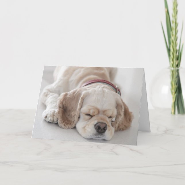 Carte Sommeil de chien de cocker (Devant)