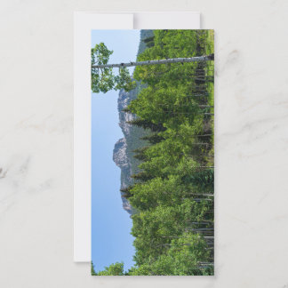 Carte sommet thorodin au-dessus des bois à la porte d'or