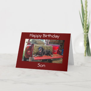 CARTE ***SON***