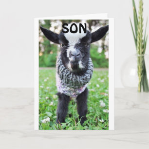 CARTE *SON* S'ARRÊTE LE MARDI POUR DIRE HEUREUX