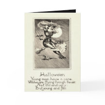Sorcière monochrome volant balai hibou chauve-sour
