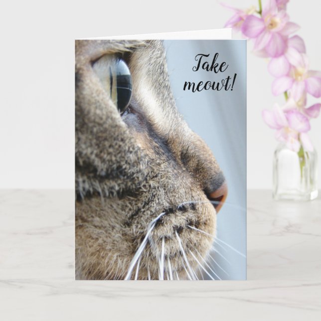 Carte Sortez-moi ! Cat Kitten Saint-Valentin (Orchidée)