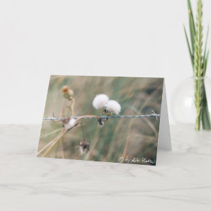 Carte souffle