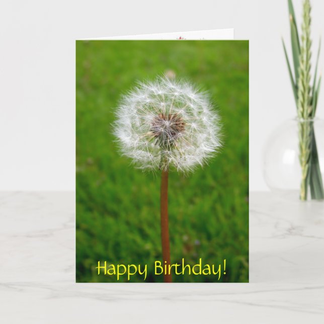 Carte Souffle de pissenlit, joyeux anniversaire ! (Devant)