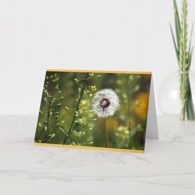 Carte Souhaits d'anniversaire de Dandelion (Devant)