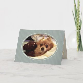 Carte Souhaits d'anniversaire joyeux en Poméranie