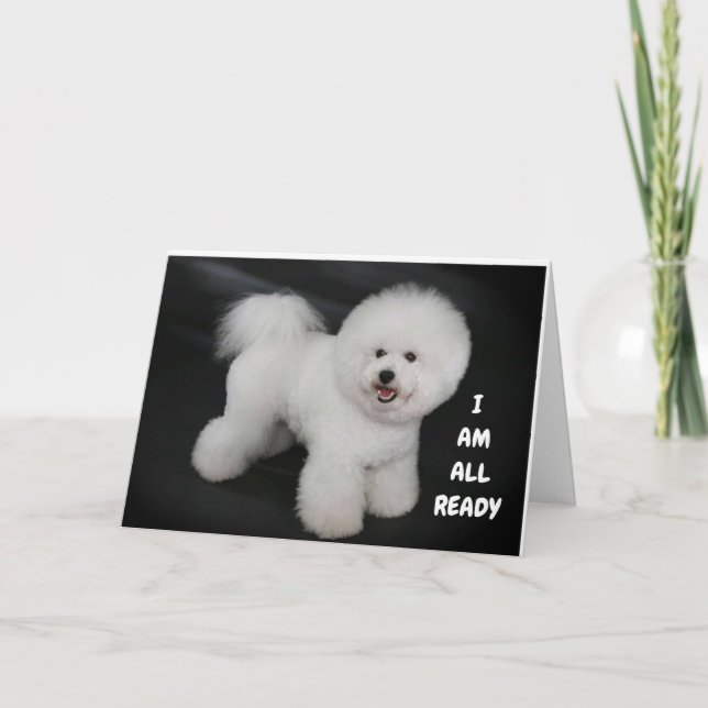 Carte **SOUHAITS DE DOGGIE CUEILLANTS** HEUREUX *40ème** (Devant)
