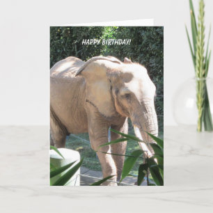 Carte Souhaits doux d'anniversaire d'éléphant
