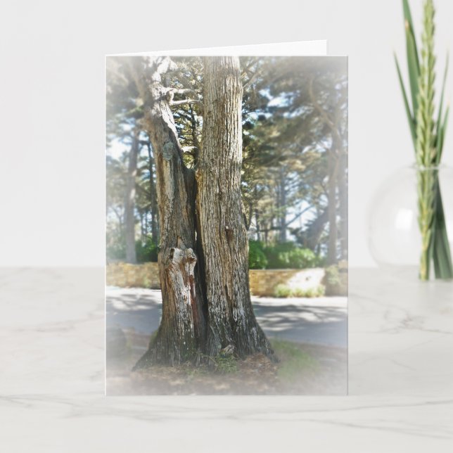 Carte Soul Mates (Devant)