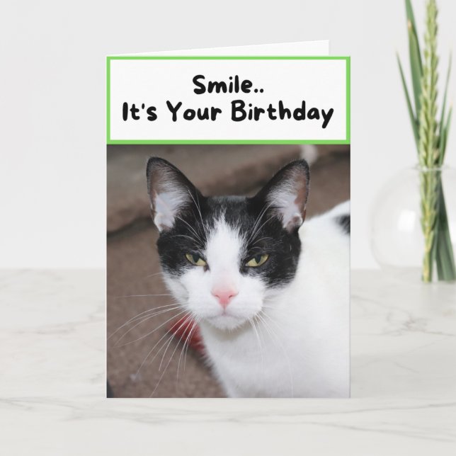 Carte Souriez.. C'est ton anniversaire - Chat (Devant)