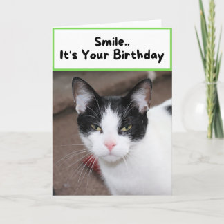 Carte Souriez.. C'est ton anniversaire - Chat
