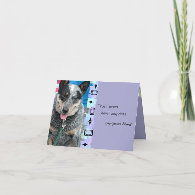 Carte Sourire Chien de bétail australien voeux d'anniver (Devant)