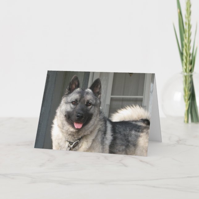 Carte Sourire de Bergen (Devant)