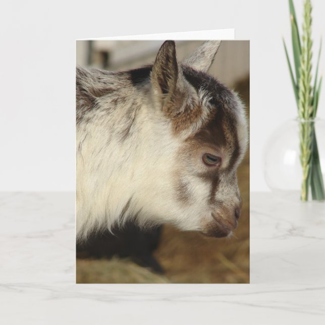 Carte Souris la chèvre (Devant)