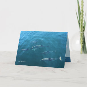 Carte Sous la mer
