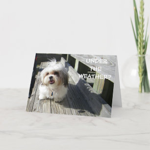 CARTE SOUS LE TEMPS ?