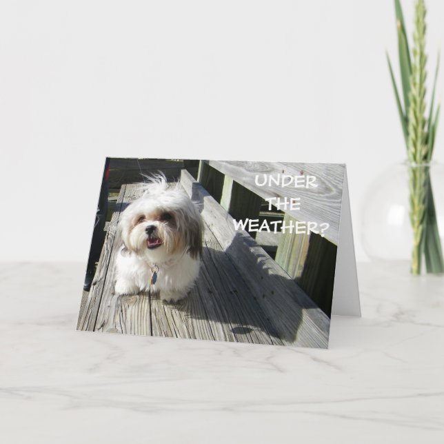 CARTE SOUS LE TEMPS ? (Devant)