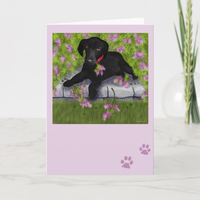 Carte Sous les lilas (Devant)