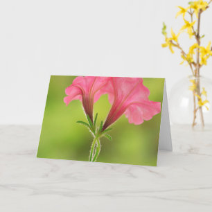 Carte Soutien au cancer du sein Pink Petunia