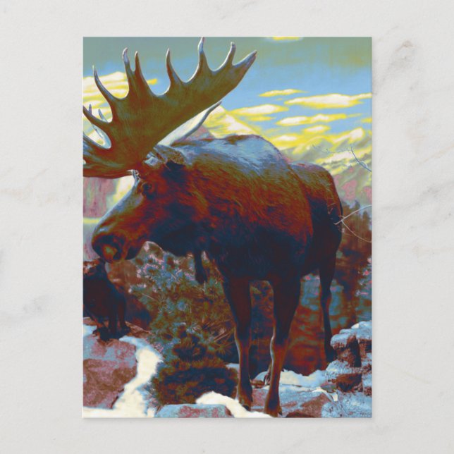 Carte souvenir de Park City Moose (Devant)