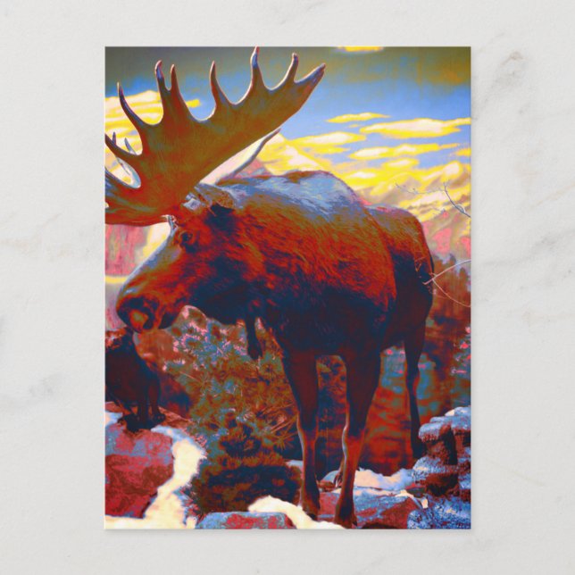Carte Souvenir Park City Moose (Devant)