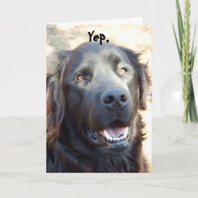 Carte Soyez bien ~Dog Humor Salutation (Devant)