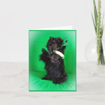 Soyez une bénédiction