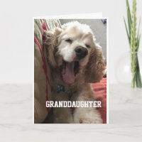 **SPECIAL BIRTHDAY** for "GRANDDAUGHTER" Card