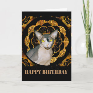 Carte Sphynx Cat Ninja Vintage Style Black Gold Birthday