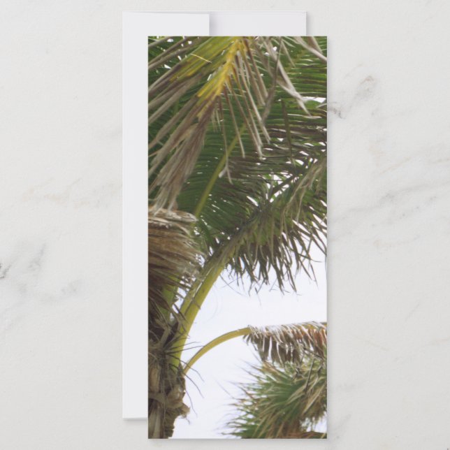 Carte Splendeur tropicale (Devant)
