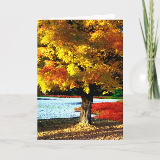 Carte Splendor d'automne (Devant)