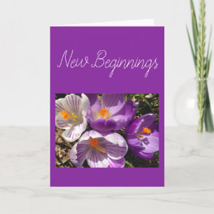 Carte Spring Crocus Nouveau Début
