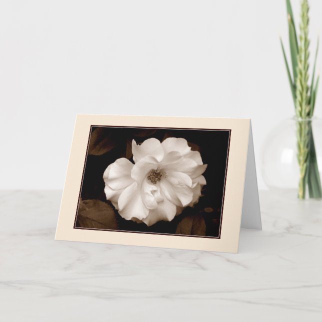 Carte 'Spring Rose (Sépia)' (Devant)