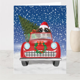 Carte Springer Anglais Spaniel Chien Voiture En Neige No