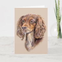 Springer Sprocker Cocker Spaniel Greming Card