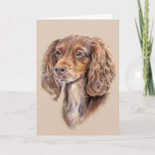 Carte Springer Sprocker Cocker Spaniel Greming Card