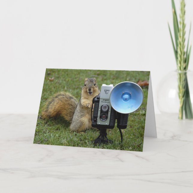 Carte squerrl card large 100 (Devant)