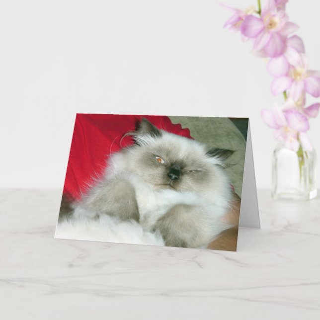 Carte Squinty Himmy (Orchidée)