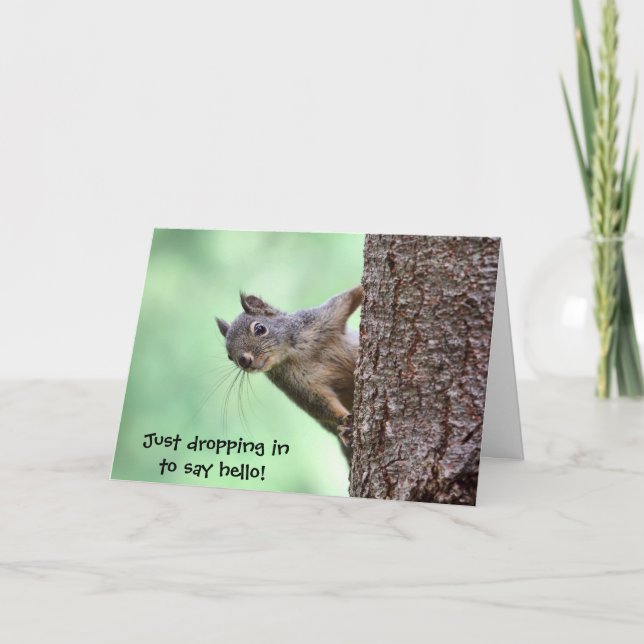 Carte Squirl (Devant)